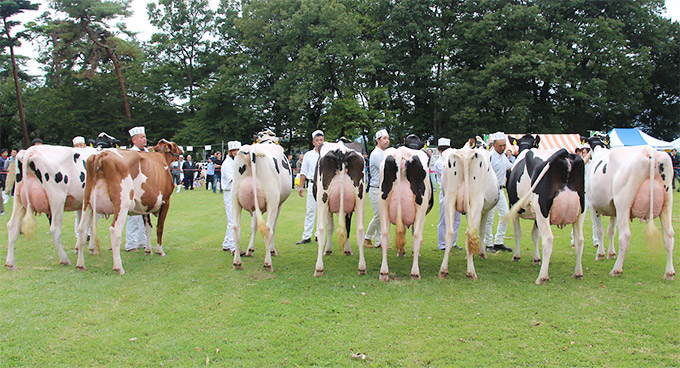 2024年の会場風景 07