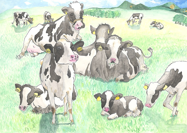 優秀賞 狐塚愛吏咲さん